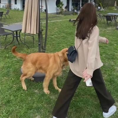 神枪少女第二季